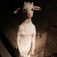 Just a Normal Goat