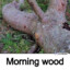 woodman