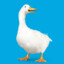 Aflac ®