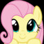 hello everypony