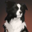 briar
