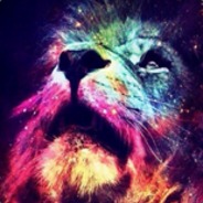 Frodo - steam id 76561197961195104
