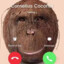 Cornelius Coconut