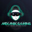 MekaniK.Gaming