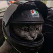 伯乐看了我都说好马