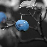 ☯♫♥☺☹☻®™