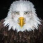 Marvin Beak