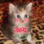 mouse331