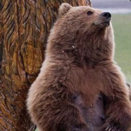 捡一下我的牌子