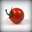 Rote Tomate