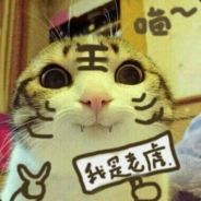 伶舟大叔