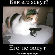 тарелочница - steam id 76561199586277253