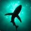 sharky_73_