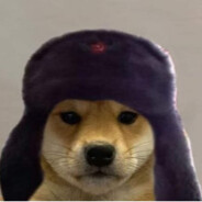 sigmasdog:) avatar