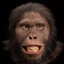 Pithecus's avatar