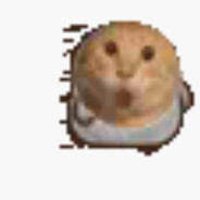 劳大科比(星青流）