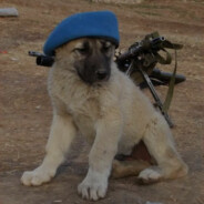 Kalashmeister