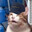 Zoomer420 avatar