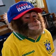 Brineras
