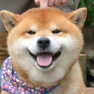 上局队友不配赢