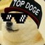 TOP DOGE