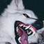 Tyr