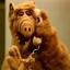 ALF