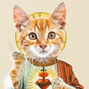 el gato avatar
