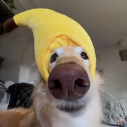 LivinLikeLark