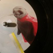 zx_xmbie - steam id 76561197971119545