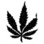 Paul [420]