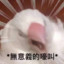 大棉被
