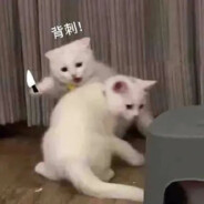 你们不吃饭的吗