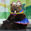 pickmebear