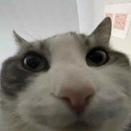 Bub™