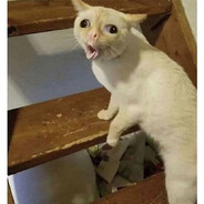 El de siempre