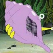 The Magic Conch Shell