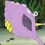 []The Magic Conch Shell[]