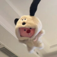 樱桃完犊子(我也是)