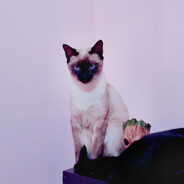 Avatar snapshot