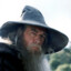 Grey Gandalf