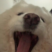 海豹突击队队长啊nei