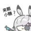 柳树下乘凉
