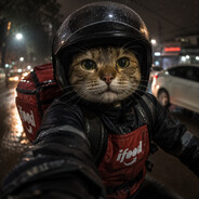 GATOBOY