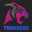 Mr ThunderZ