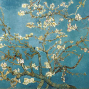 爱情不敌坚持泪