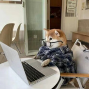 篮球恶霸-徐坤菜菜子