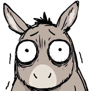 比奇堡里没有玫瑰