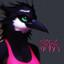 Kara the magpie