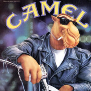 CAMEL® Ambassador